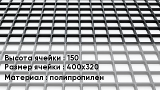 Георешетка 150 Ячейка: 400х320 полипропилен